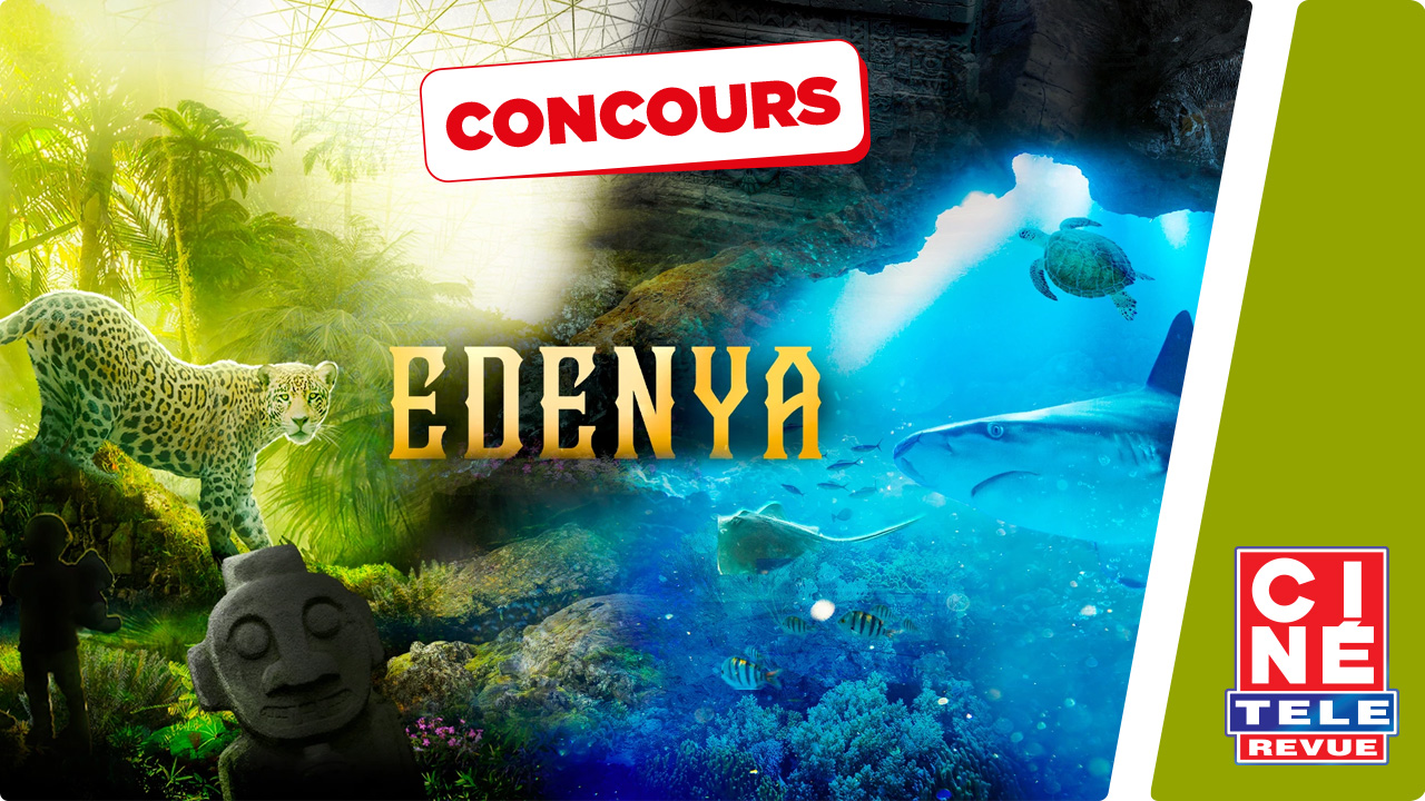 Mes concours